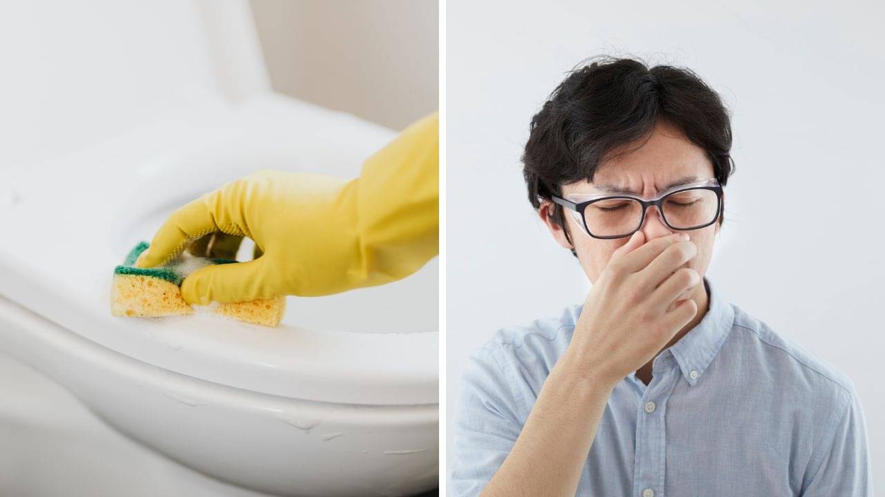 Bathroom Cleaning: বাথরুমে ঢুকলেই দুর্গন্ধে গা গুলিয়ে যায়? ঘরোয়া টোটকা কাজে লাগিয়ে করুন সমাধান