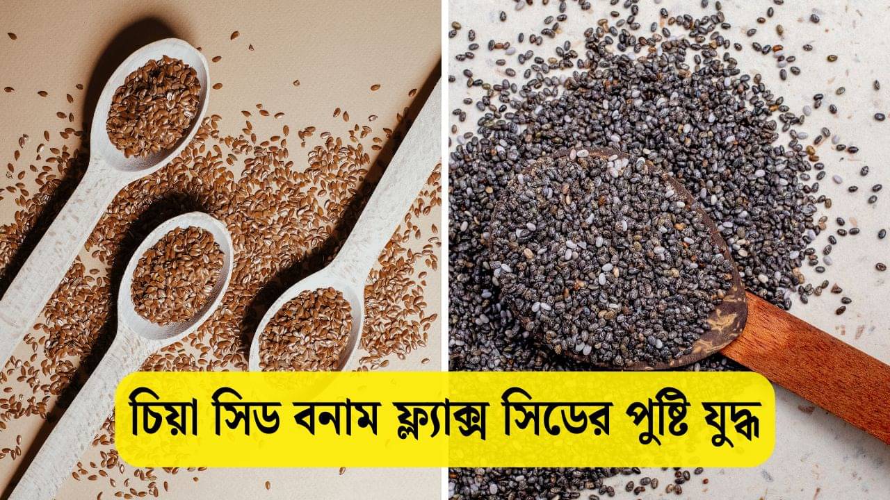 Chia Seeds vs Flax Seeds: চিয়া না ফ্ল্যাক্স, স্লিম ফিগারের জন্য কোন সুপারসিড বেছে নেবেন?