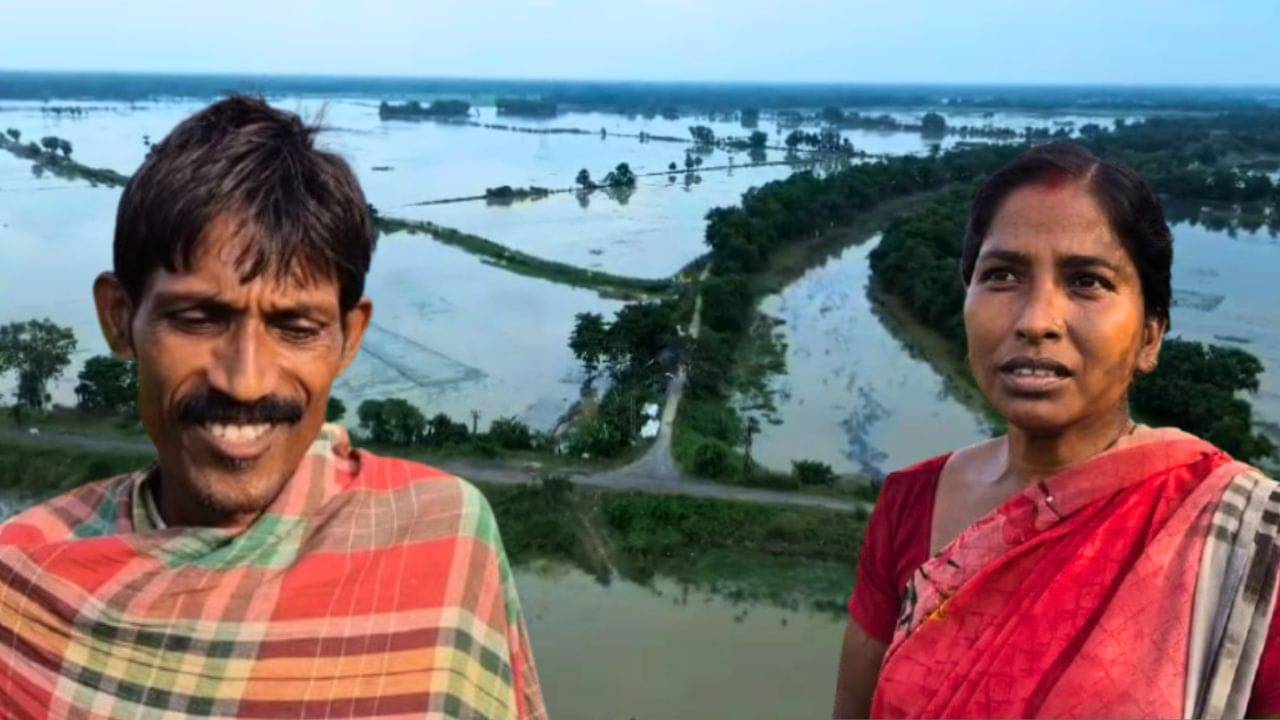 DVC: জলের নীচে হাজার হাজার হেক্টর ধান জমি! পেটে টানের আশঙ্কায় সহস্র কৃষক