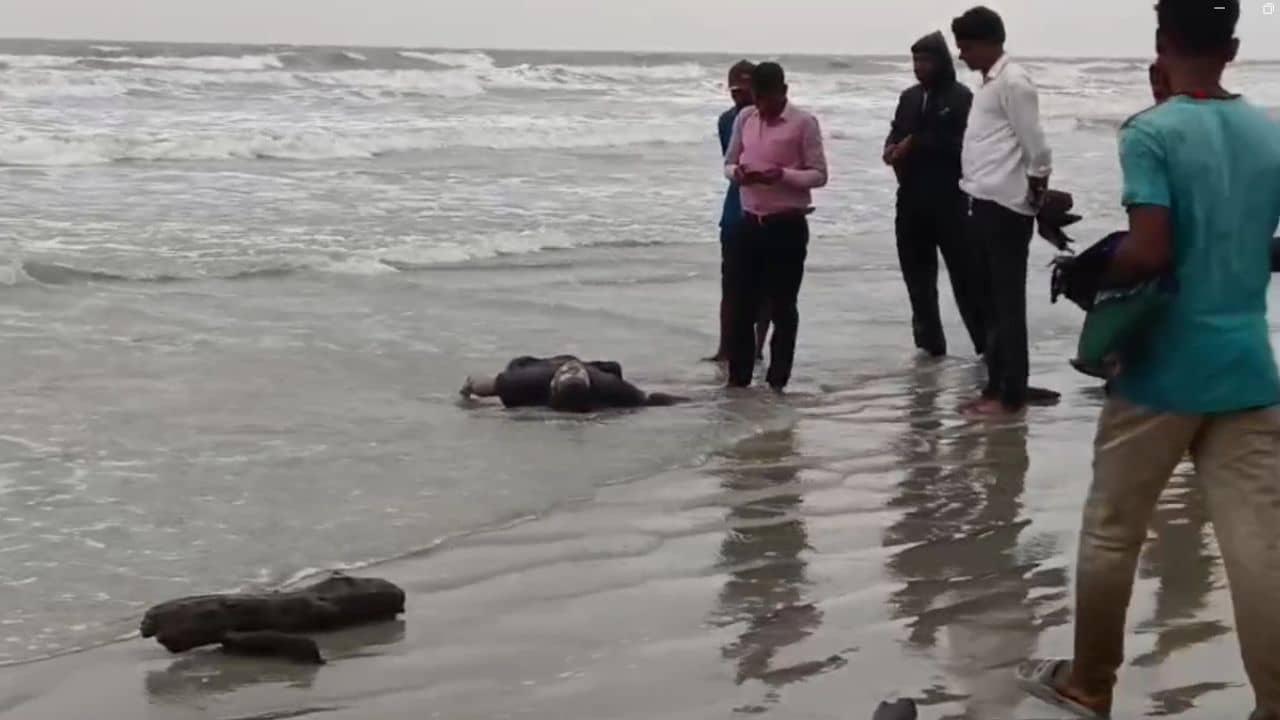 South 24 Parganas: নিষেধাজ্ঞা উপেক্ষা করেই মাছ ধরতে গিয়েছিলেন, উদ্ধার হল ২ মৎস্যজীবীর দেহ