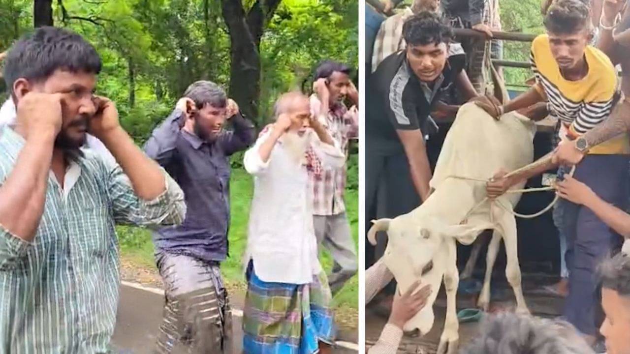 Durgapur: নিজেরাই গরু উদ্ধার করে আইন হাতে তুলে নিল বিজেপি কর্মীরা, দেওয়া হল চরম শাস্তি