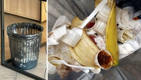 বাড়ির কোনদিকে ডাস্টবিন রেখেছেন? বাস্তু মেনে না রাখলে বিপদ হতে পারে