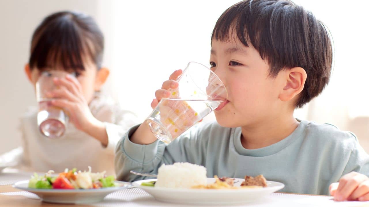 Drinking Water: খাবার খেতে বসে ঘনঘন জল পান করেন? জানেন শরীরে কী ঘটছে?