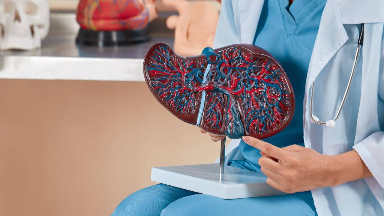 Liver Health: লিভারের সবচেয়ে বড় পাঁচ শত্রুকে এক্ষুণি চিনে নিন...