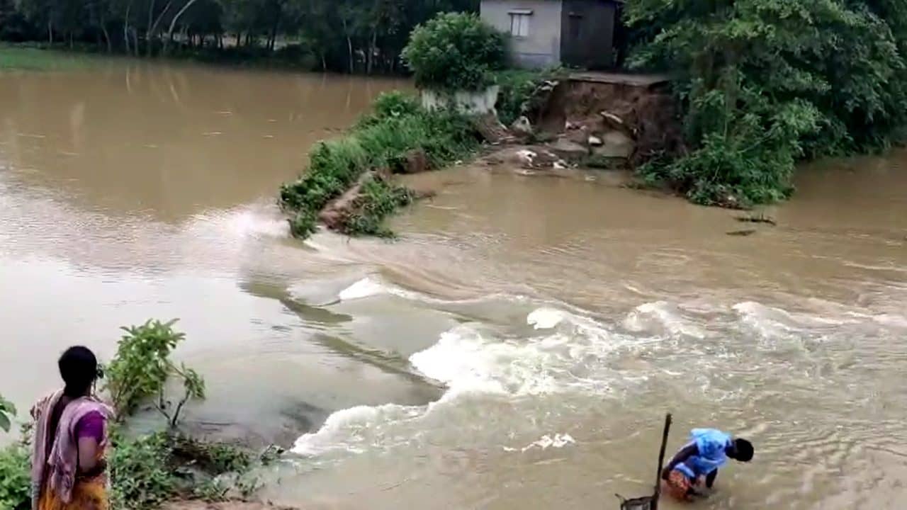 Ghatal flood Situation: ফের ডুবছে ঘাটাল, বিঘের পর বিঘে ধান জমি চলে গেল জলের তলায়