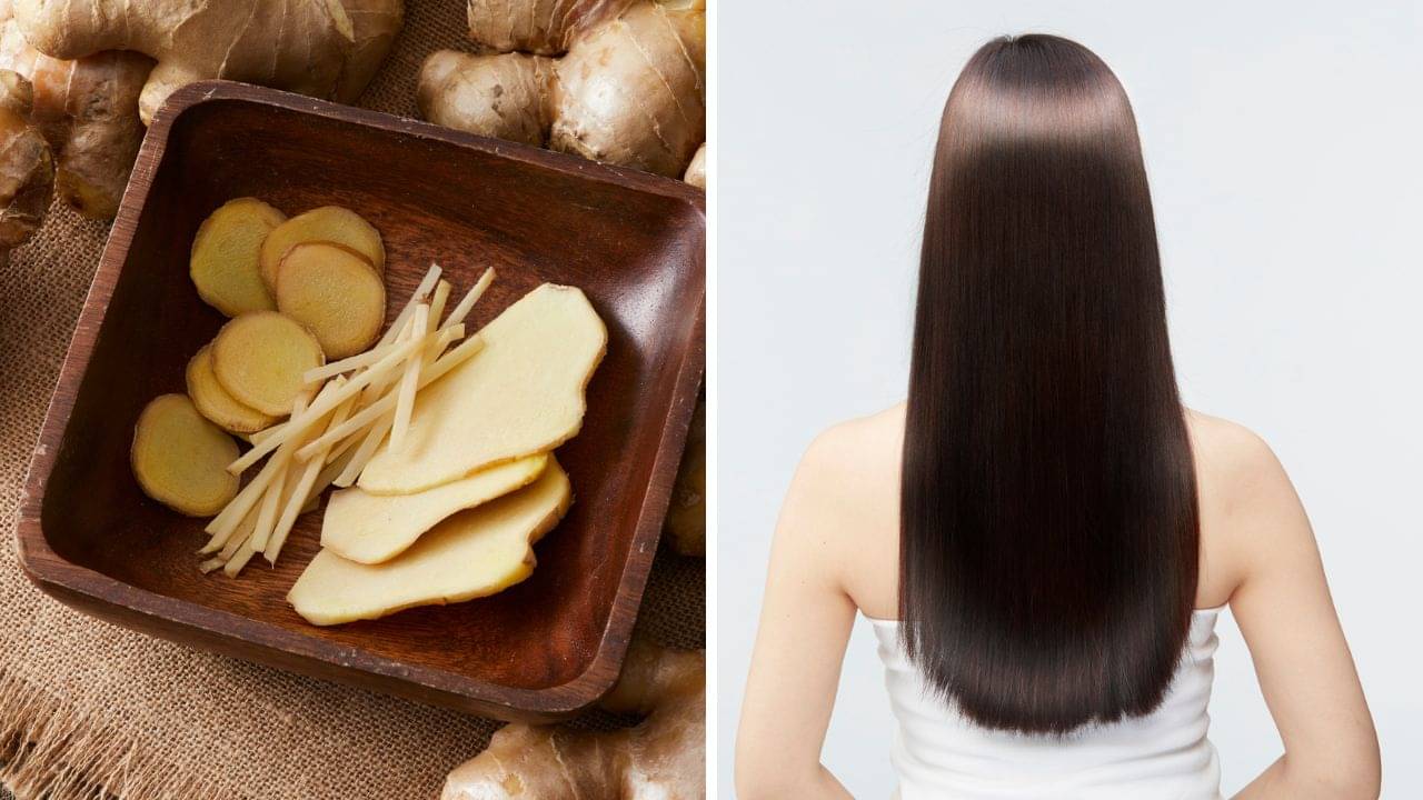 Ginger for Hair Growth: সত্যিই কি আদা চুল বড় করে? জানুন গবেষণায় যা উঠে এসেছে...