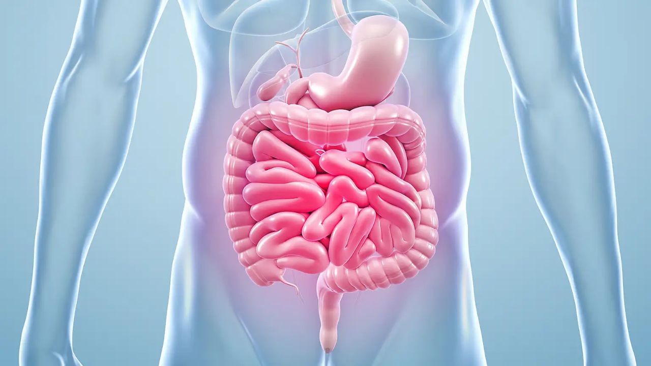 Gut Health: অন্ত্রের স্বাস্থ্যের উন্নতি ঘটাতে চাইলে ডায়েটে রাখতে হবে এই ৭ মশলা Gut Health: অন্ত্রের স্বাস্থ্যের উন্নতি ঘটাতে চাইলে ডায়েটে রাখতে হবে এই ৭ মশলা