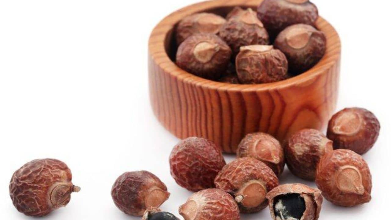 Reetha: শুধু চুলের পরিচর্চায় নয়, বাসন থেকে গয়না সব পরিষ্কার করুন রিঠা দিয়ে