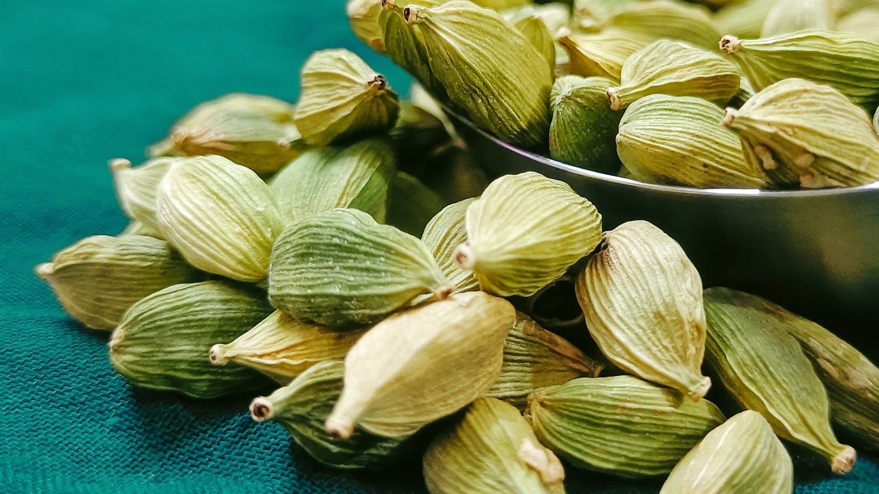 Cardamom Water: পেটের মেদ গলাতে এলাচ জলের জুড়ি মেলা ভার, জানুন কখন-কীভাবে করবেন পান Cardamom Water: পেটের মেদ গলাতে এলাচ জলের জুড়ি মেলা ভার, জানুন কখন-কীভাবে করবেন পান