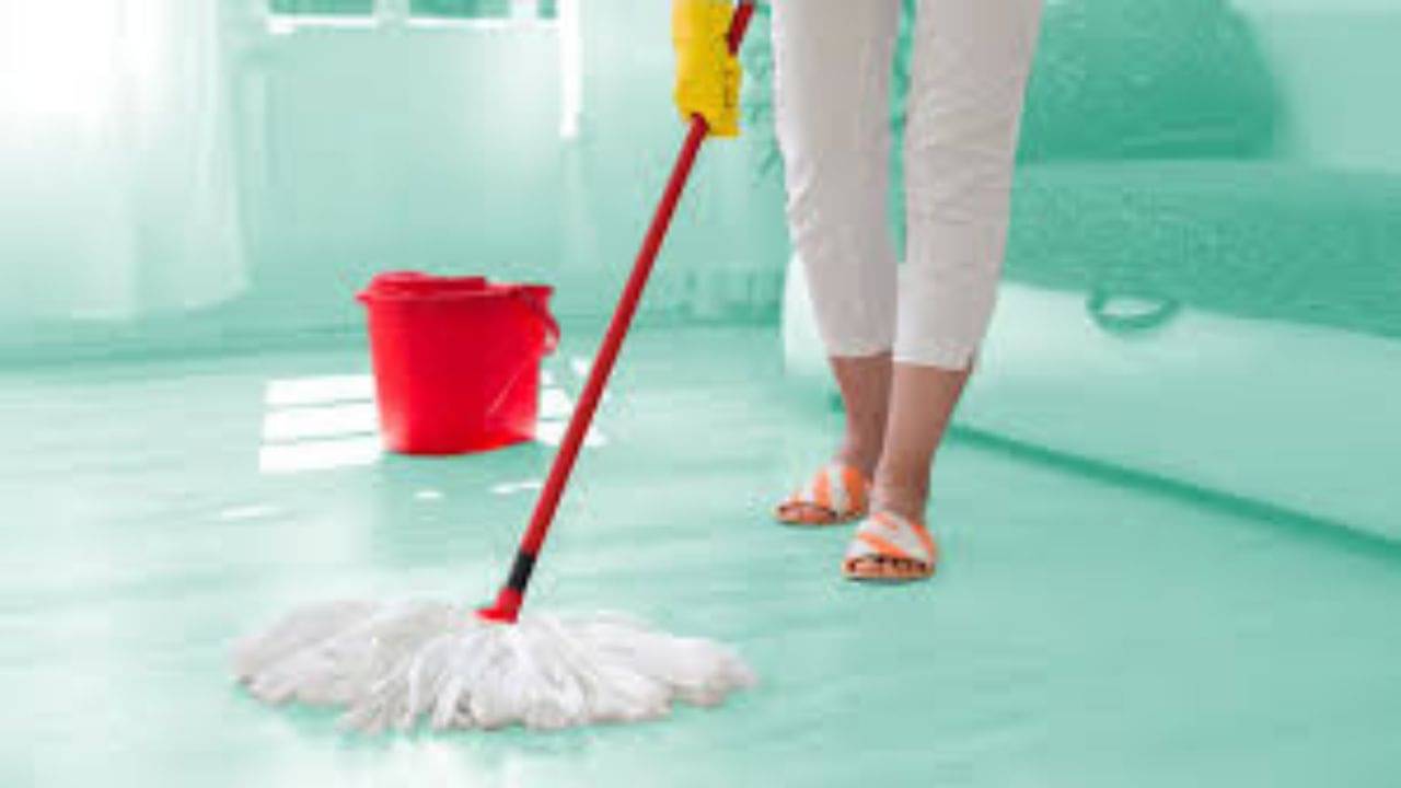 Home Cleaning Tips: গুচ্ছ টাকা দিয়ে ফিনাইল কিনতে হবে না, এইভাবে পরিষ্কার করলেই ঘর থাকবে চকচকে