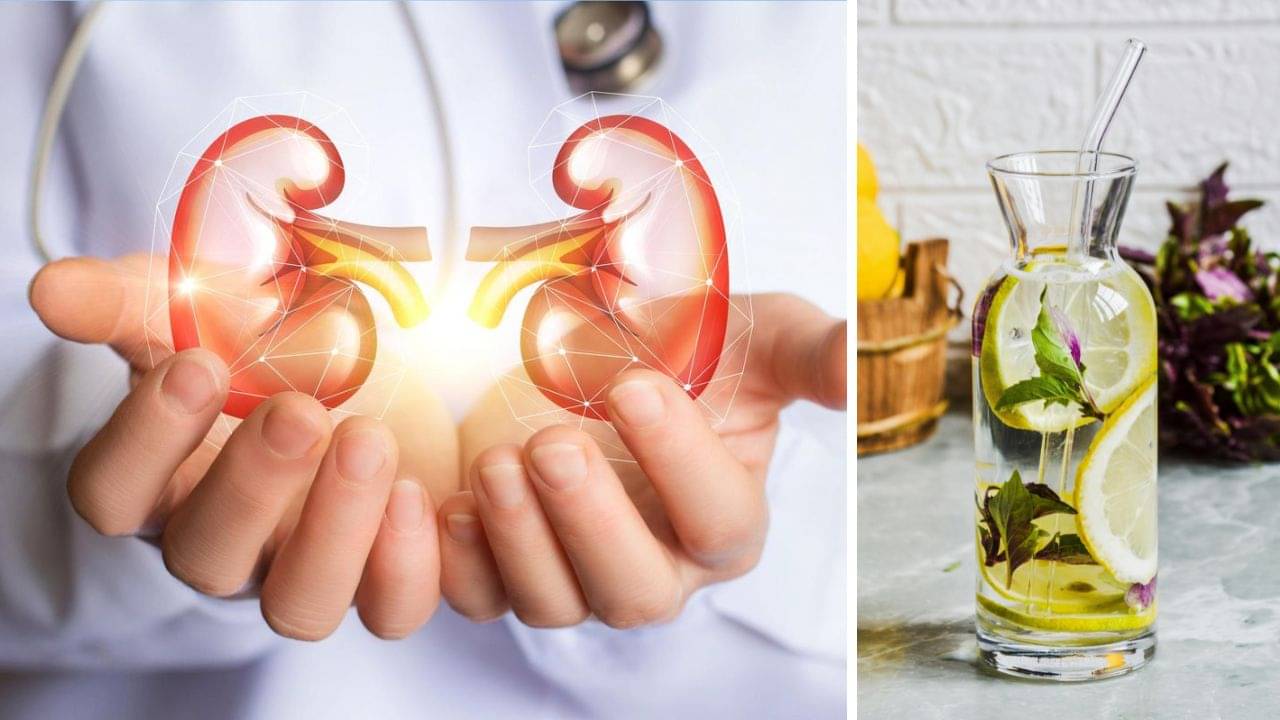 Care of Kidneys: শরীরের দূষণ দূর করে ছাঁকনি কিডনি, যত্ন নিতে এই পানীয়ে দিন চুমুক