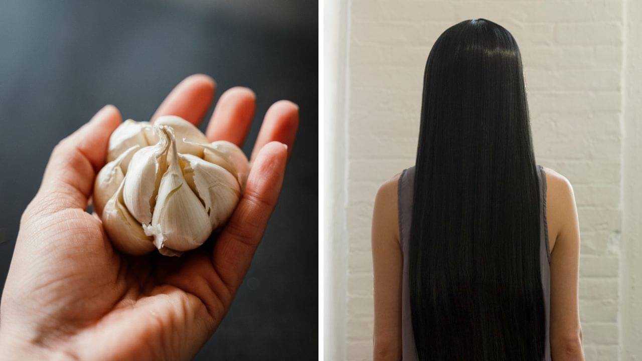 Hair Care Tips: কালো, ঘন ও নতুন চুলের জন্য হাপিত্যেশ করার দিন শেষ! এক কোয়া রসুনেই হবে ম্যাজিক