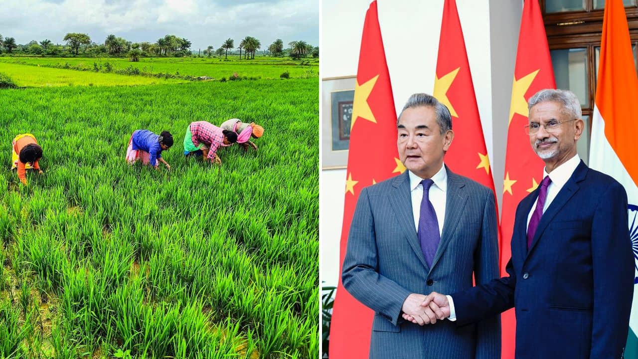 India China Rare Earth: বদলে গেল সমীকরণ! চিনা বিদেশমন্ত্রী ভারতে আসতেই বড় রেহাই পেল দেশের কৃষকরা