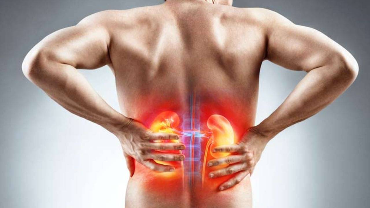 Kidney Disease: সামান্য পিঠের ব্যথাও হতে পারে কিডনির রোগের লক্ষণ! কীভাবে বুঝবেন?