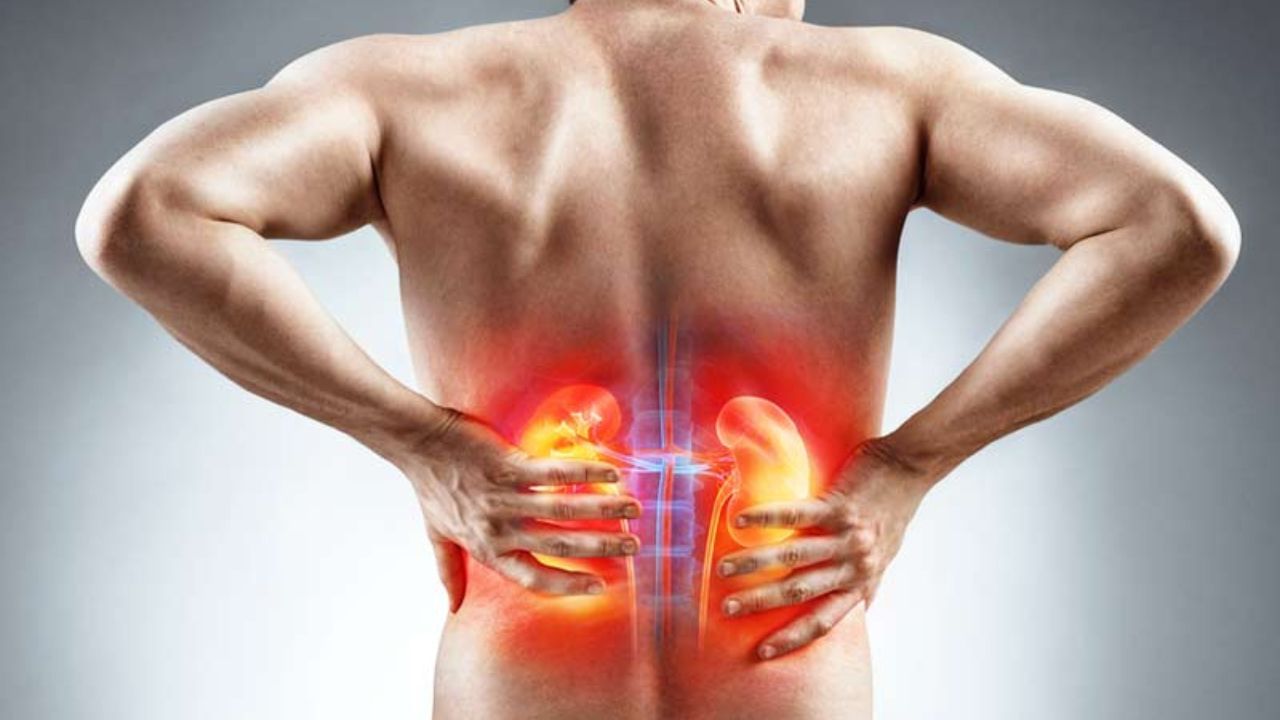 Kidney Disease: সামান্য পিঠের ব্যথাও হতে পারে কিডনির রোগের লক্ষণ! কীভাবে বুঝবেন? Kidney Disease: সামান্য পিঠের ব্যথাও হতে পারে কিডনির রোগের লক্ষণ! কীভাবে বুঝবেন?