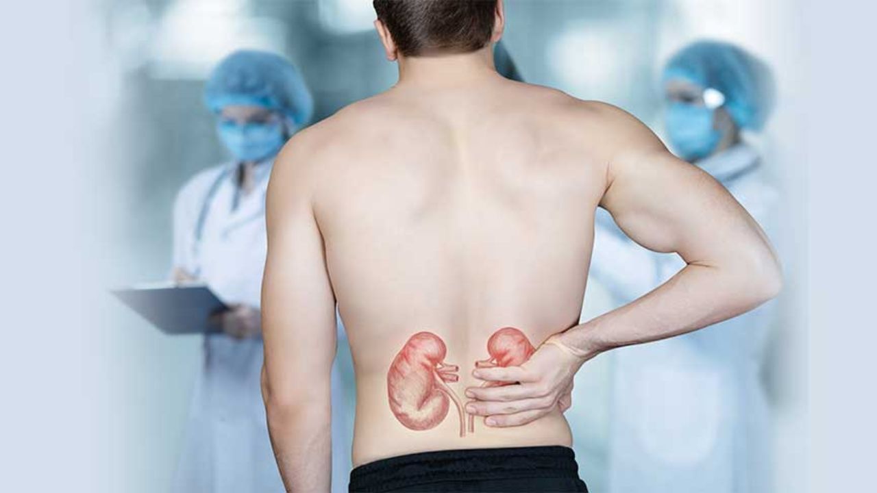 Kidney Disease: ভারতে হু হু করে বাড়ছে কিডনি রোগের প্রকোপ! আপনি সুস্থ তো, বুঝবেন কীভাবে? Kidney Disease: ভারতে হু হু করে বাড়ছে কিডনি রোগের প্রকোপ! আপনি সুস্থ তো, বুঝবেন কীভাবে?