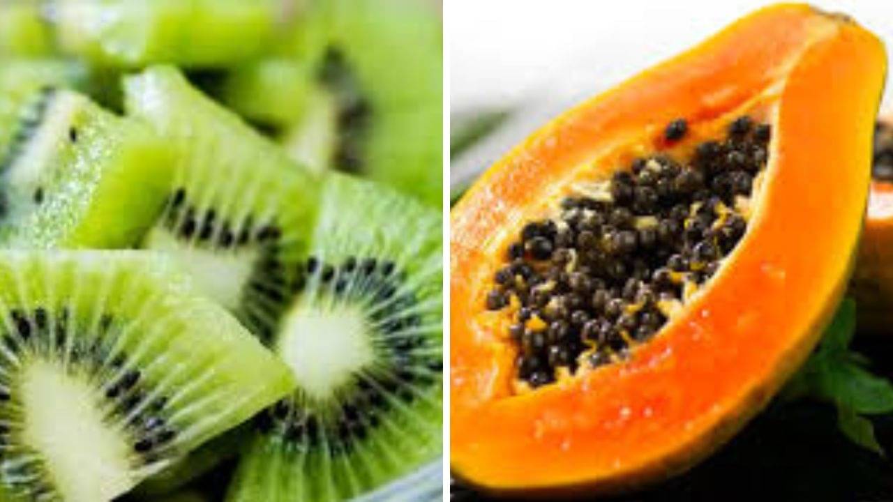 রক্তের প্লেটলেট বাড়াতে কোনটা বেশি কার্যকর, কিউই নাকি পেঁপে?