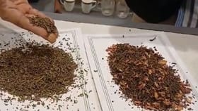 চায়ে মেশানো সোনা! বাংলায় তৈরি চা যাচ্ছে দুবাইয়ের মাটিতে, দাম কত জানেন