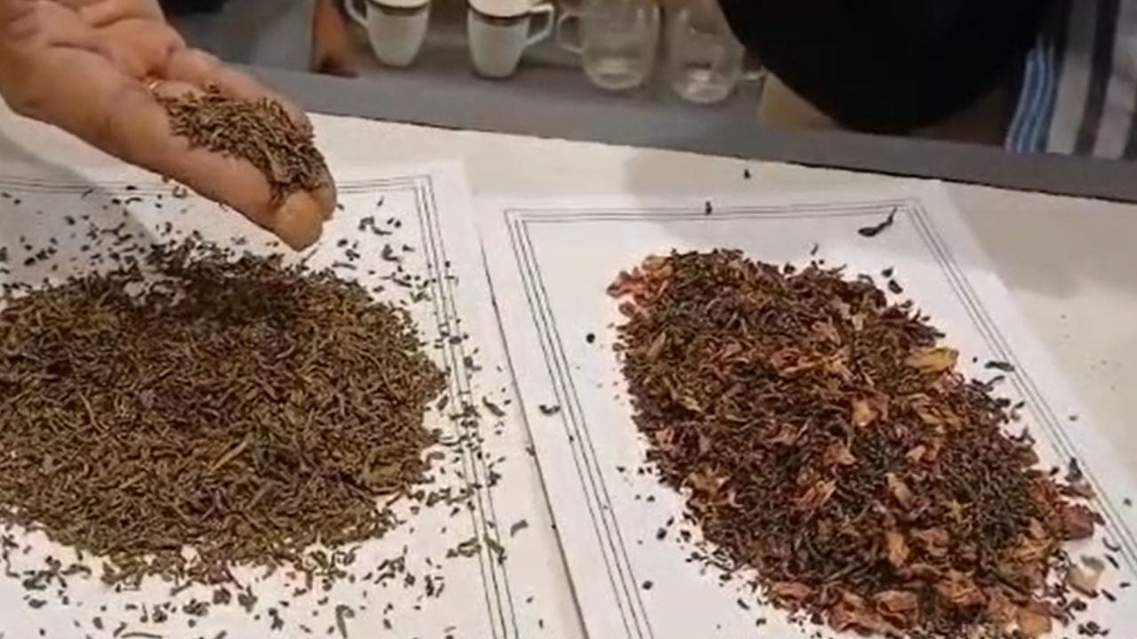 Tea Price: চায়ে মেশানো সোনা! বাংলায় তৈরি চা যাচ্ছে দুবাইয়ের মাটিতে, দাম কত জানেন Tea Price: চায়ে মেশানো সোনা! বাংলায় তৈরি চা যাচ্ছে দুবাইয়ের মাটিতে, দাম কত জানেন