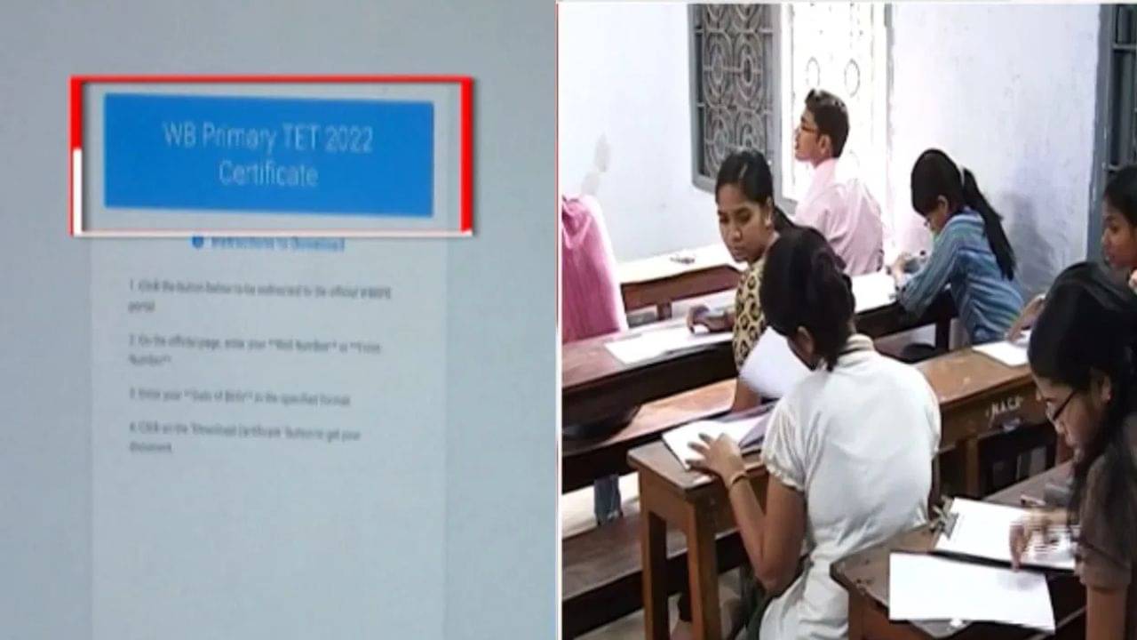 Primary Board: অজানা ওয়েবসাইটে টেটের রেজাল্ট কোথা থেকে এল! তদন্তে কী পেল পর্ষদ