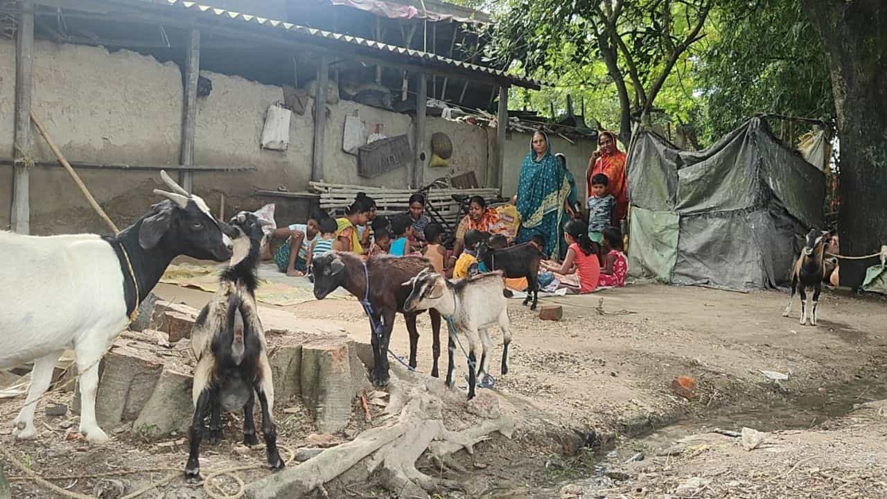Arambagh: গরু-ছাগলের পাশেই পড়াশোনা, খোলা শৌচালয়, নেই কোনও ভবন Arambagh: গরু-ছাগলের পাশেই পড়াশোনা, খোলা শৌচালয়, নেই কোনও ভবন