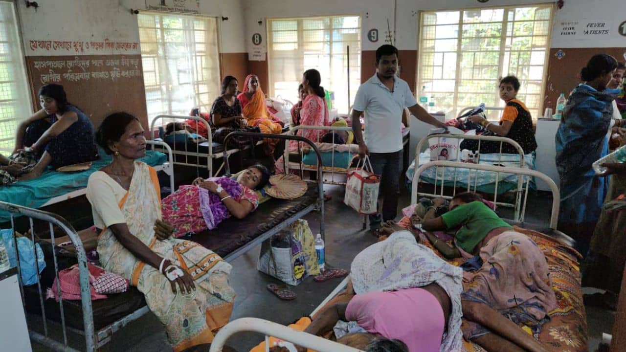 Fever: জ্বরের রোগীতেই ভরে যাচ্ছে হাসপাতাল, বেড নেই, চিন্তায় চিকিৎসকরা
