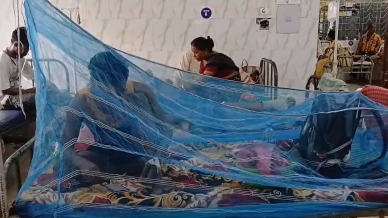 Fever: ইঁদুর জ্বরের সঙ্গে এবার এই রোগীর সংখ্যাও বাড়ছে উত্তরবঙ্গে