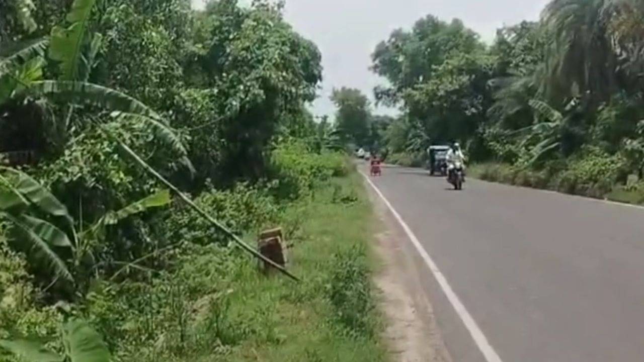 Diamond Harbour: গাড়ি থেকে পড়ে গেল ব্যান্ডেজ জড়ানো কাটা পা! খবর শুনেই ভিড় জমল এলাকায়