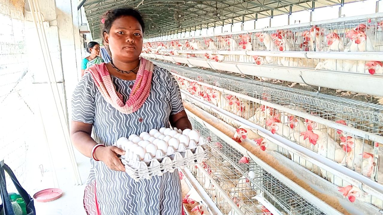 Jalpaiguri: প্রতিদিন ১ লক্ষ ডিম উৎপন্ন হয়, বন্ধ হচ্ছে ৪০ কোটির সেই ফার্ম, মাথায় হাত শতাধিক কর্মীর Jalpaiguri: প্রতিদিন ১ লক্ষ ডিম উৎপন্ন হয়, বন্ধ হচ্ছে ৪০ কোটির সেই ফার্ম, মাথায় হাত শতাধিক কর্মীর