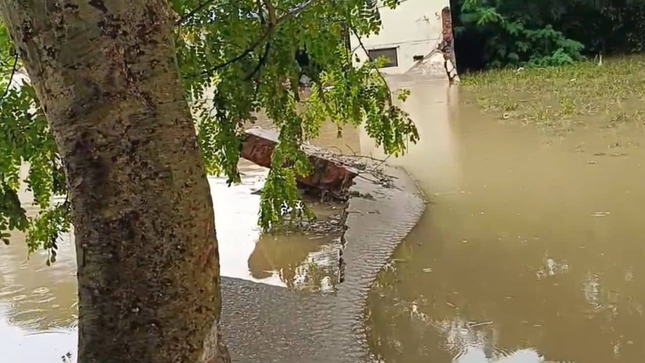 Jhalda: ভেঙেছে রাস্তা, বিচ্ছিন্ন যোগাযোগ, ডুবেছে লক্ষ লক্ষ টাকার চাল-ডাল