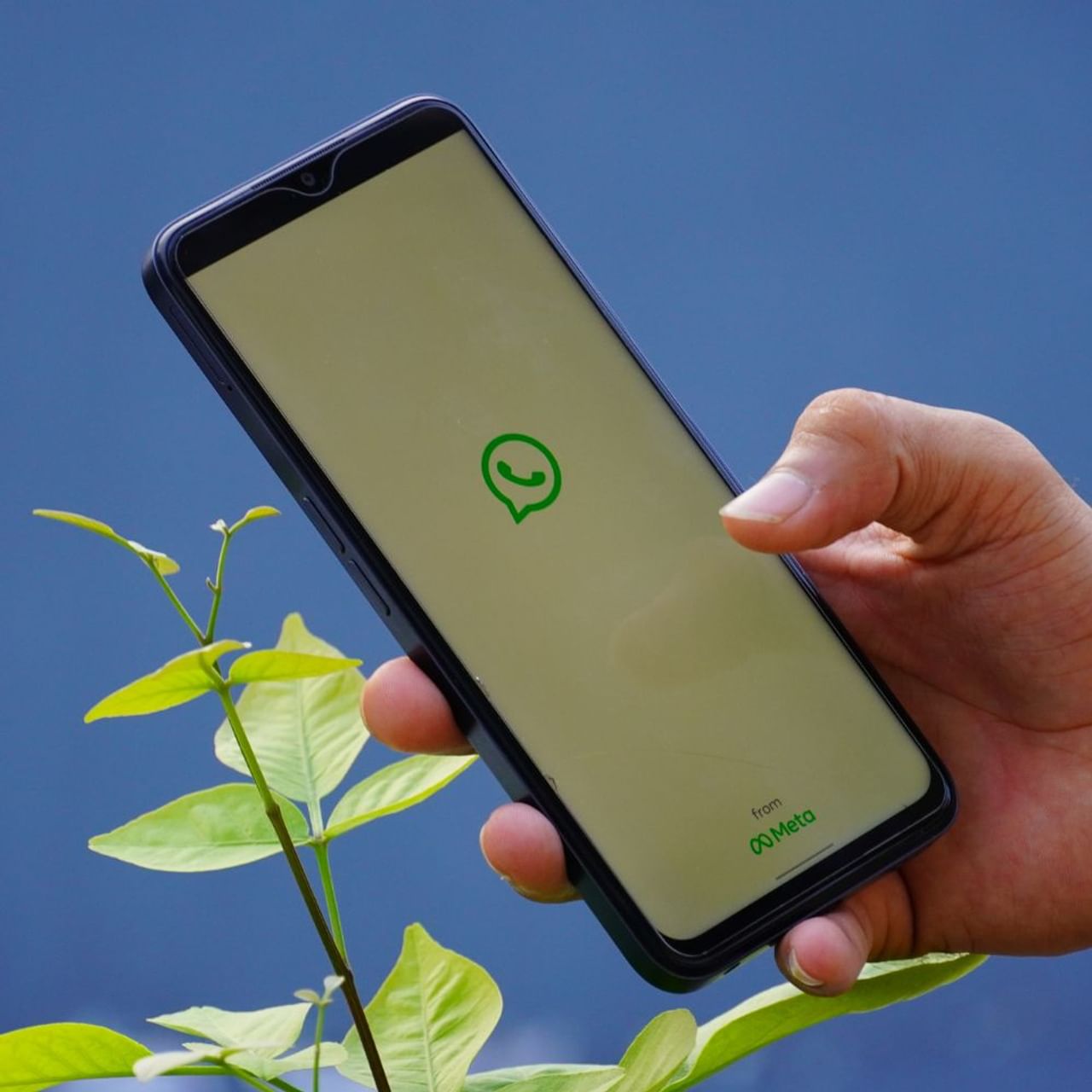 বিগত কয়েক বছর ধরে যোগাযোগ বা মেসেজ পাঠানোর ক্ষেত্রে কমবেশি সকলেই হোয়াটসঅ্যাপ ব্যবহার করেন। বিশ্বজুড়ে এই অ্যাপ্লিকেশন বহুল প্রচলিত। ভারতেও হোয়াটসঅ্যাপের গ্রাহক সংখ্যা কয়েকশো কোটির কাছে। যাঁরা দিনরাত এই অ্যাপ ব্যবহার করে চলেছেন।