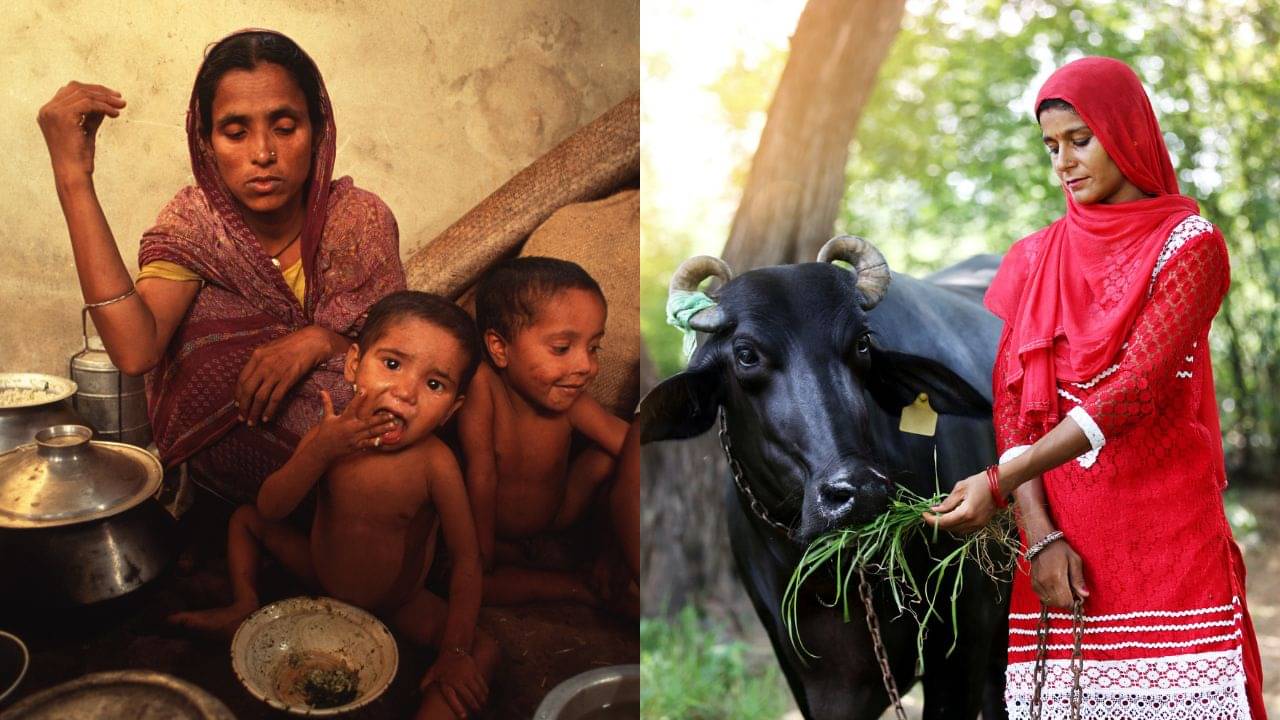 State Nutrition Budget: গরু খাওয়াতে খরচ ৪০ টাকা, এদিকে অপুষ্টিতে ভোগা শিশু পাচ্ছে ১২ টাকা! বিধানসভায় জমা পড়ল রিপোর্ট