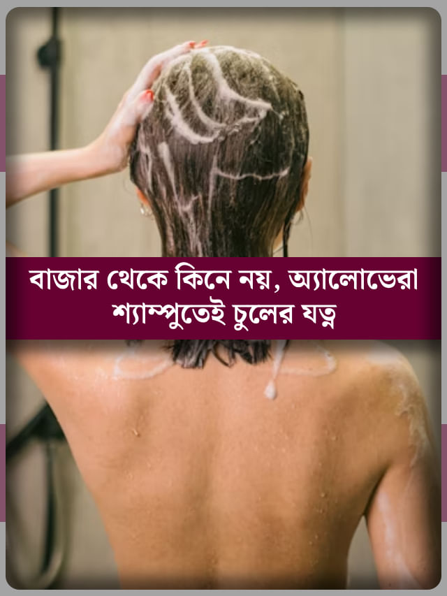 জাস্ট লাগবে অ্যালোভেরা, তাহলেই তৈরি 'ম্যাজিক শ্যাম্পু' জাস্ট লাগবে অ্যালোভেরা, তাহলেই তৈরি 'ম্যাজিক শ্যাম্পু'