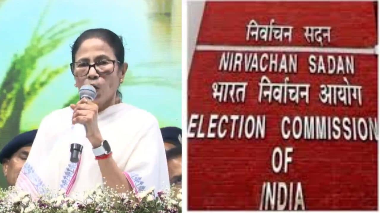 Mamata Banerjee: প্লিজ বিজেপির ললিপপ হবেন না, কমিশনকে খোঁচা মমতার
