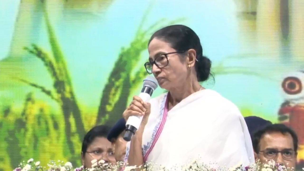 Mamata Banerjee: পাকিস্তানেরও একটা পঞ্জাব রয়েছে, সেকথা তো বলো না, বাংলার পাশে বাংলাদেশ থাকলে আমরা কী করব? মমতা