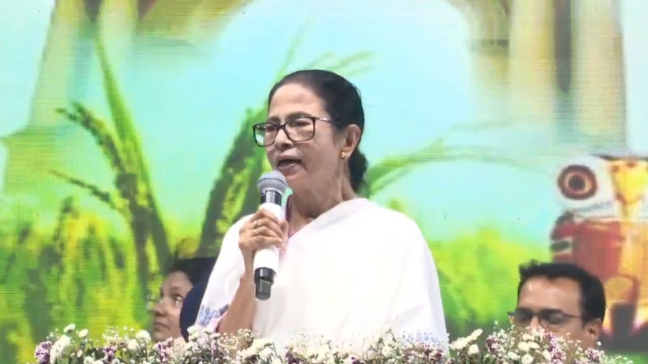 Mamata Banerjee: সব প্রশ্নের উত্তর দেওয়ার পরও শূন্য দেয়..., বর্ধমানের সভা থেকে কেন বললেন মমতা?