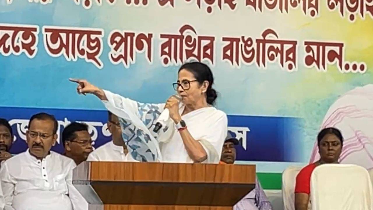 Mamata Banerjee: আমি যেদিন নিজে মনে করব, সেদিনই হঠাতে পারবেন আমাকে, মমতার বড় কথা