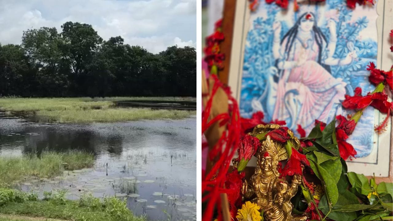 Manasa Puja: মনসা পুজোর পর দুই ভাই ফুল ভাসাতে গিয়েছিলেন জলে, মুহূর্তে এমন দৃশ্য দেখে হাড়হিম হয়ে গেল দাদার