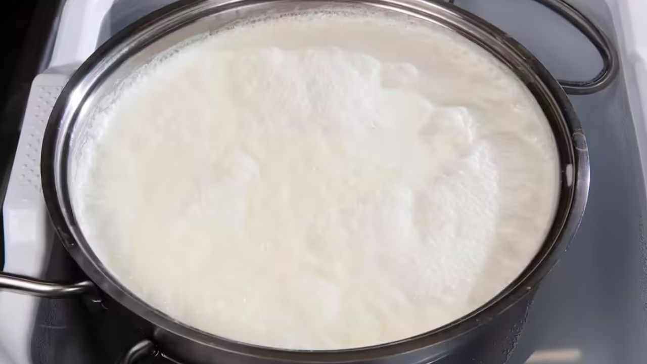 Tips: গরম করতে গিয়েই দুধ নষ্ট! ফেলে না দিয়ে এভাবে কাজ লাগান Tips: গরম করতে গিয়েই দুধ নষ্ট! ফেলে না দিয়ে এভাবে কাজ লাগান