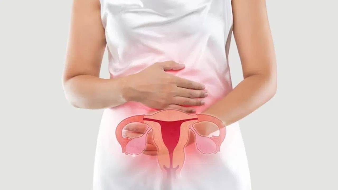 PCOS: নারকেলের চিনি নাকি গুড়, পিসিওএসের রোগীর জন্য কোনটি বেশি উপকারী?