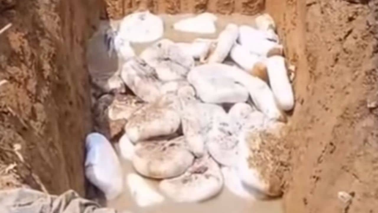 Fake Paneer: এটা নাকি ক্রিম পনির! কী অবস্থা দেখুন, এগুলো খেলেই শরীরে মারাত্মক ক্ষতি হবে