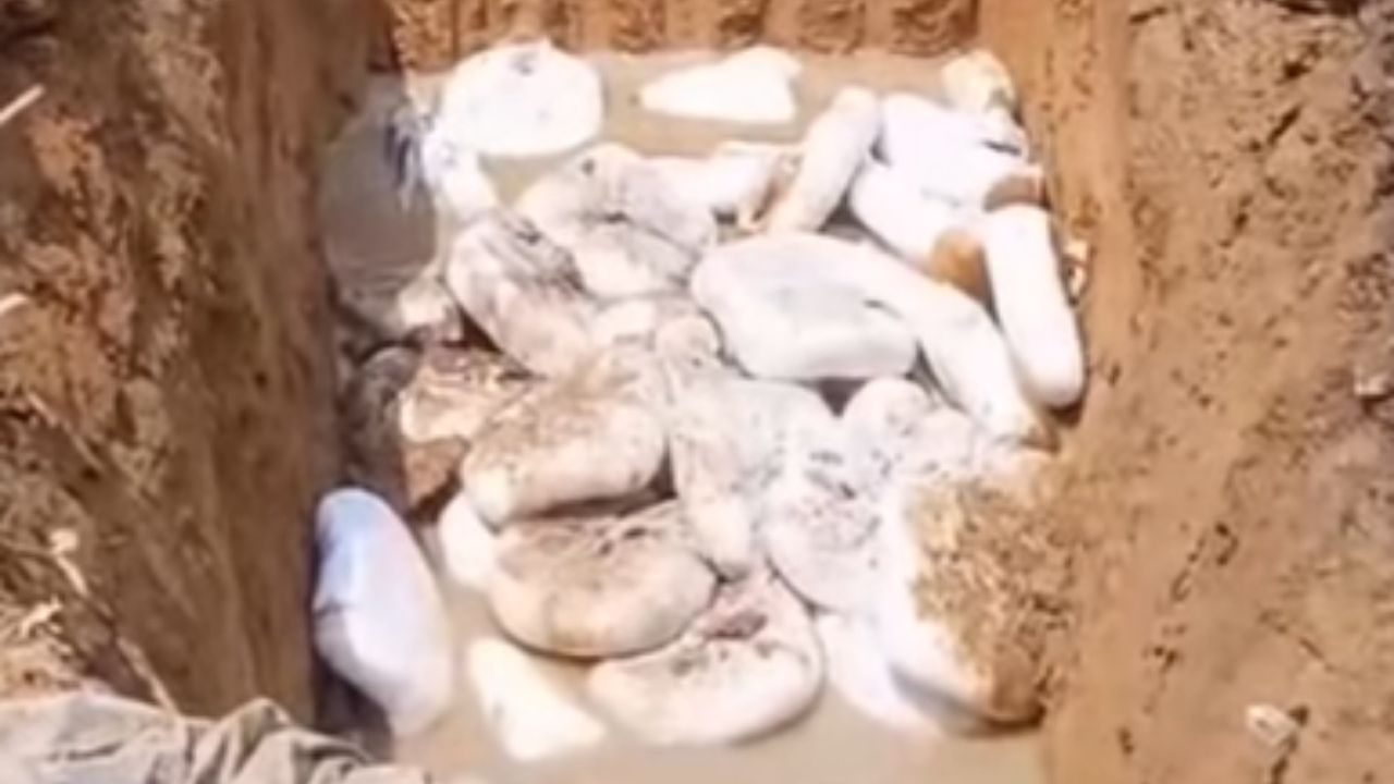 Fake Paneer: এটা নাকি ক্রিম পনির! কী অবস্থা দেখুন, এগুলো খেলেই শরীরে মারাত্মক ক্ষতি হবে Fake Paneer: এটা নাকি ক্রিম পনির! কী অবস্থা দেখুন, এগুলো খেলেই শরীরে মারাত্মক ক্ষতি হবে