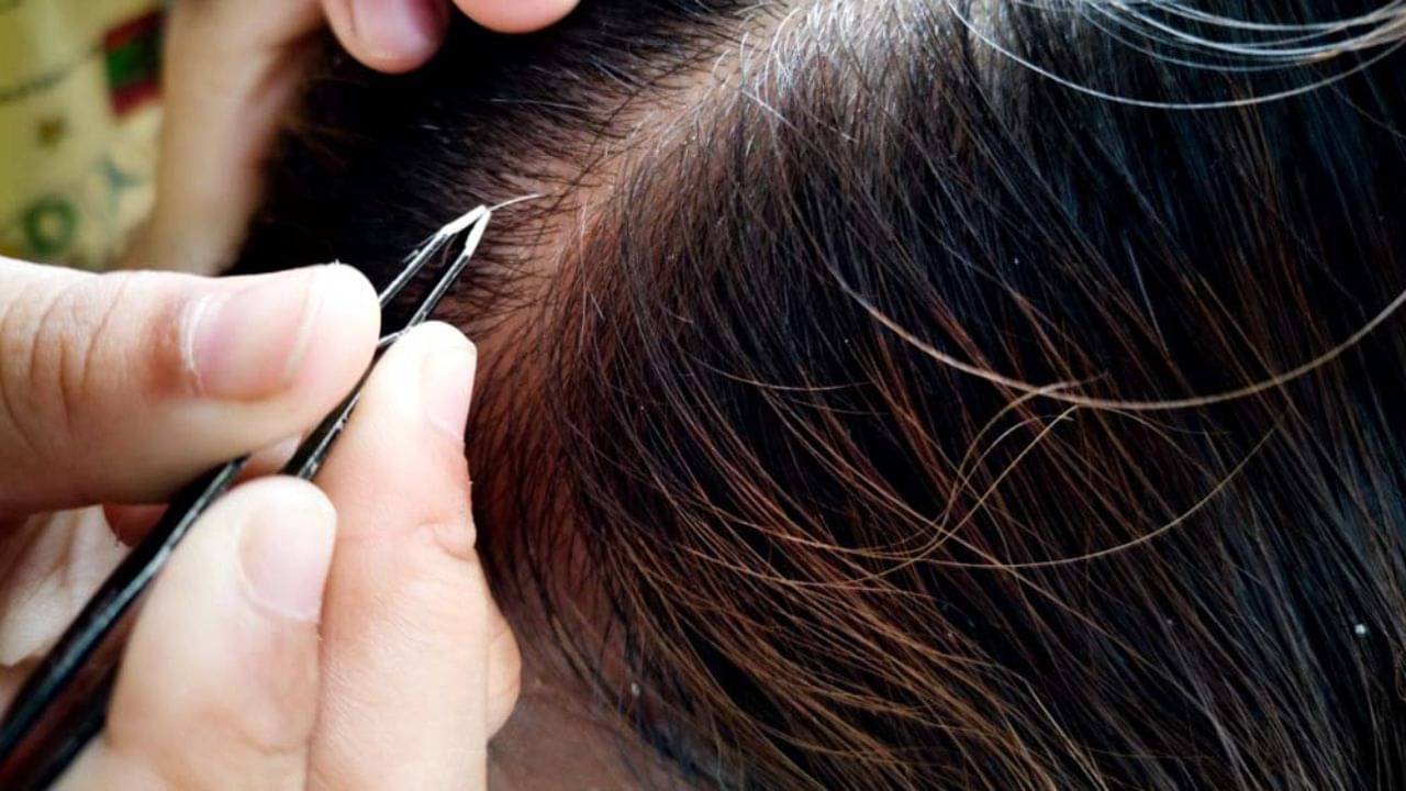 Grey Hair: একটা পাকা চুল তুললেই গোটা মাথা ভরবে সাদা চুলে! এই ধারণা আদৌ সত্যি নাকি...