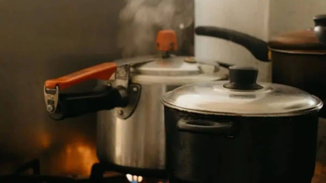 Cooking Tips: দ্রুততার জন্য ভুলেও এই সব রান্না প্রেসার কুকারে করবেন না! বড় বিপদ হবে কিন্তু...