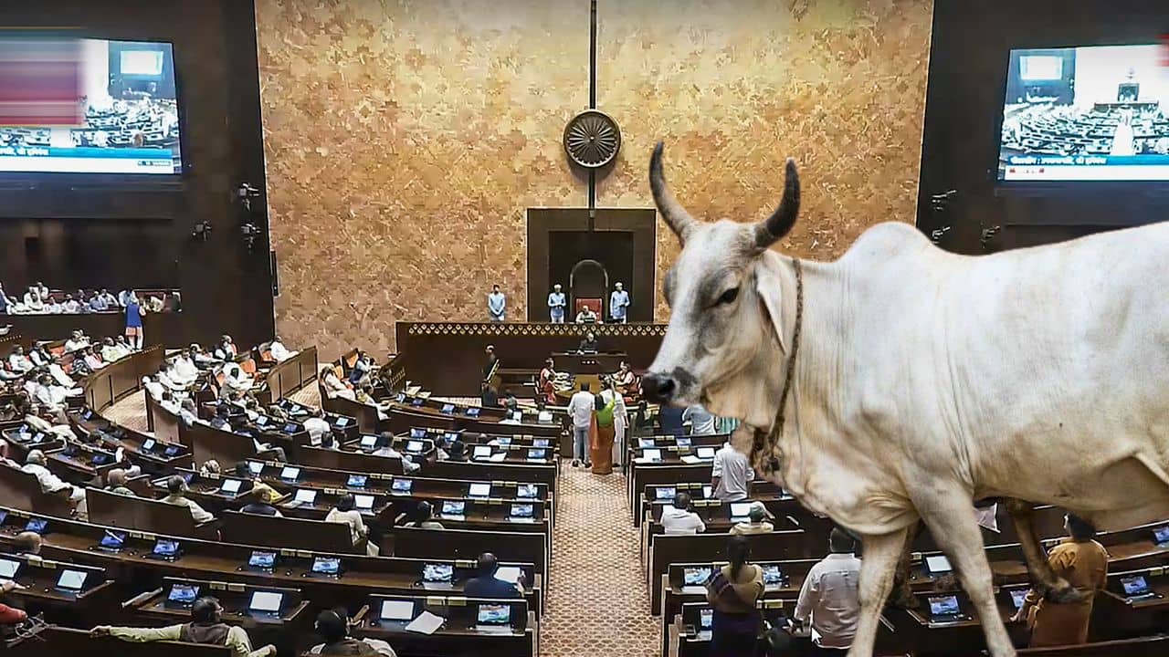 Shankaracharya: সংসদে গরু নিয়ে আসা উচিত..., দেখভালের জন্য ২ লক্ষ টাকা বেতনের পরামর্শ শঙ্করাচার্যের