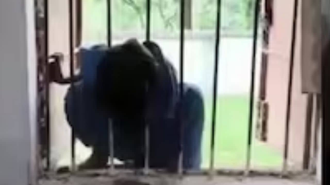 Student Stuck in School: বন্ধ ক্লাসরুমের দরজা, জানালা দিয়ে বেরতে গিয়ে আটকে গেল মাথা, ওভাবেই সারা রাত আটকে রইল দ্বিতীয় শ্রেণির ছাত্রী!