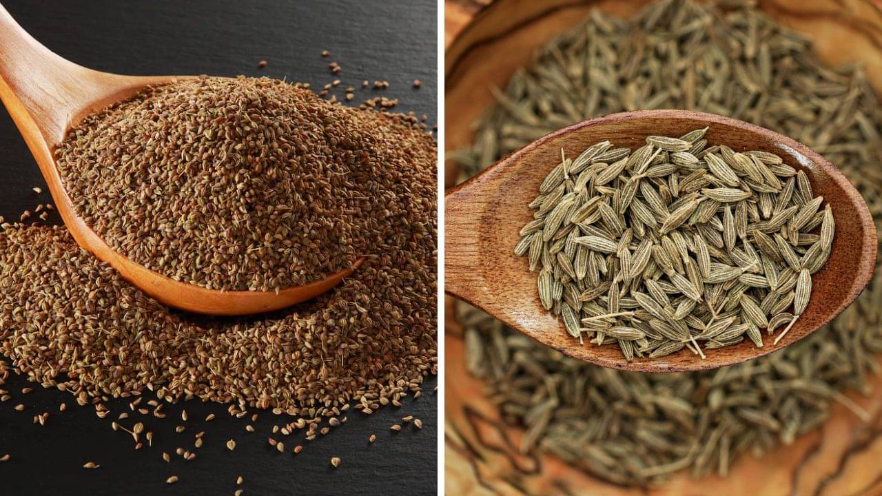 Jeera Water vs Ajwain Water: জিরে না জোয়ান, ওজন কমাতে সকালে খালি পেটে খেতে হবে কোনটি?
