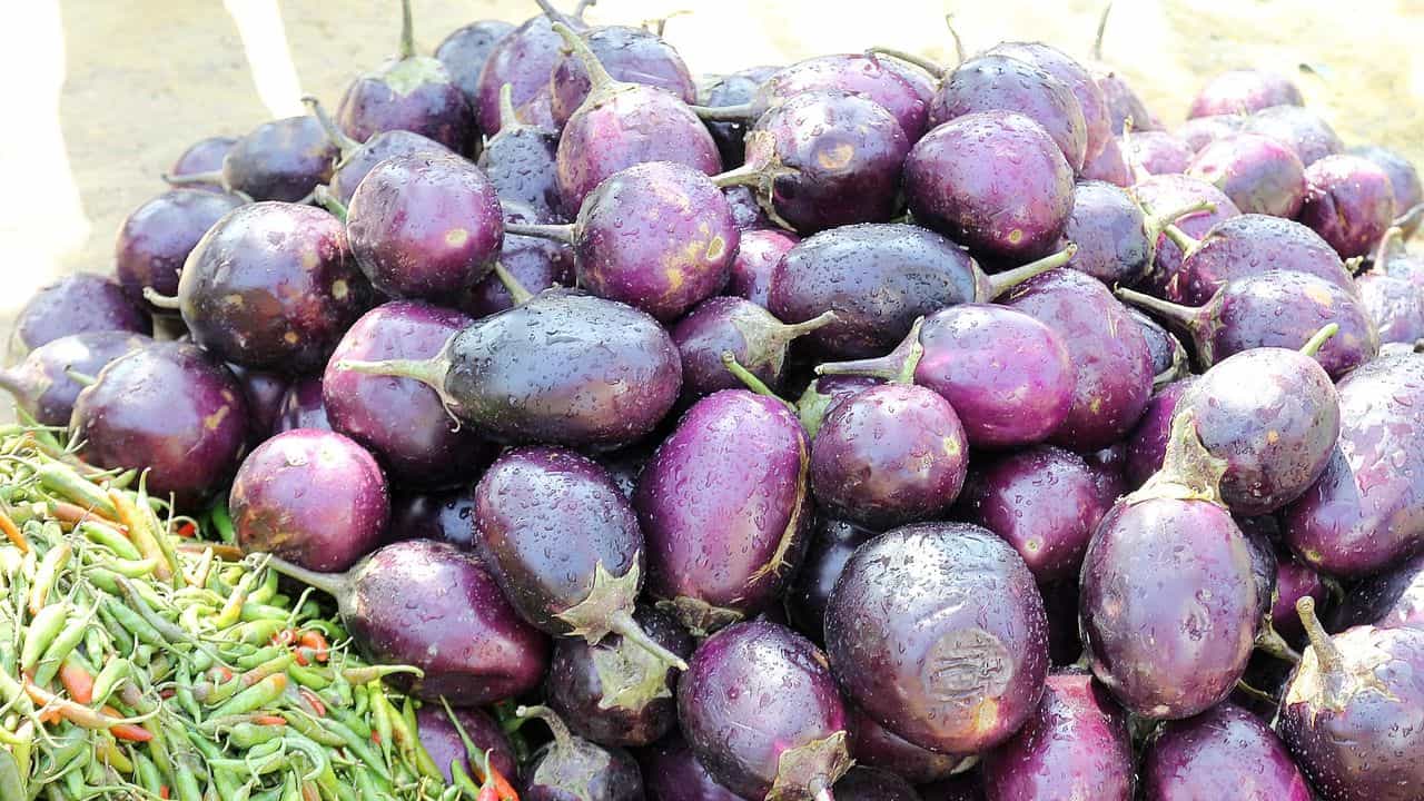 Brinjal: বেগুন ভাল নাকি খারাপ, বাজার থেকে কেনার সময় চিনবেন কোন উপায়ে? Brinjal: বেগুন ভাল নাকি খারাপ, বাজার থেকে কেনার সময় চিনবেন কোন উপায়ে?