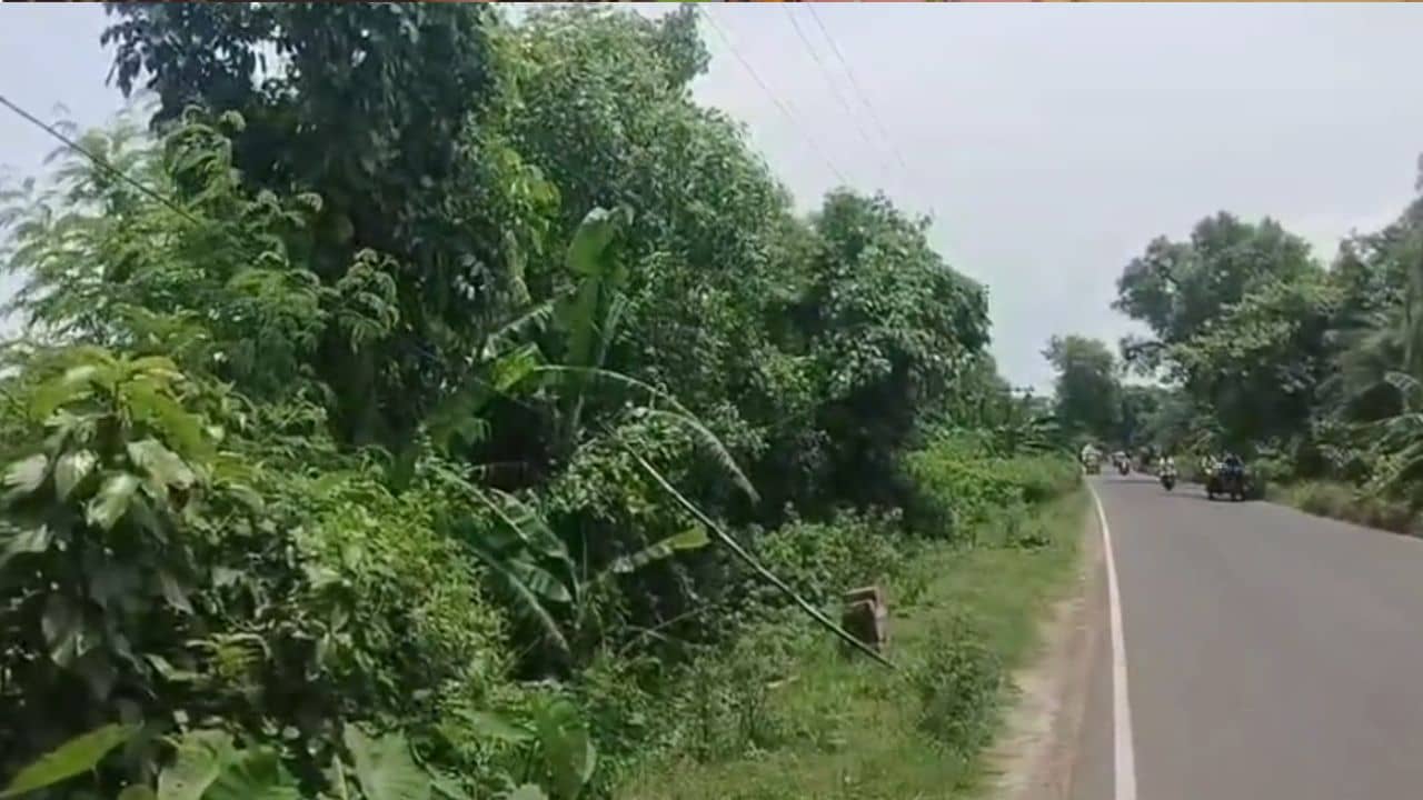 South 24 Parganas: রাস্তার ধারে পড়ে ব্যান্ডেজ জড়ানো মানুষের কাটা পা...তদন্তে নেমে আসল ঘটনা জানতে পেরে চমকে উঠল পুলিশ
