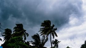 ২৪ ঘণ্টার জন্য বড়সড় নিষেধাজ্ঞা! সপ্তাহের শেষ তিনদিন কেমন থাকবে বাংলা ২৪ ঘণ্টার জন্য বড়সড় নিষেধাজ্ঞা! সপ্তাহের শেষ তিনদিন কেমন থাকবে বাংলা